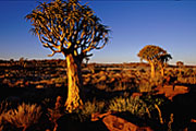 Namibia