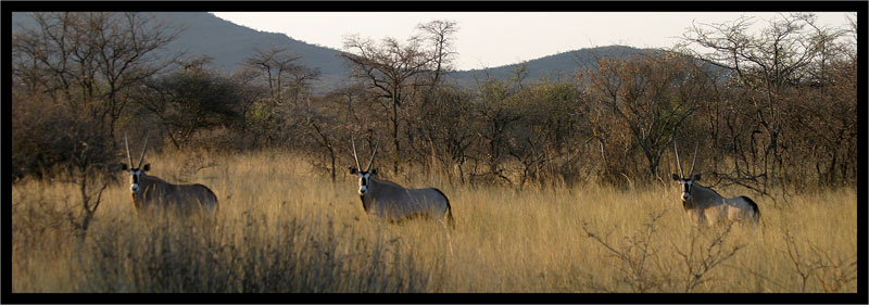 Reisen in Namibia