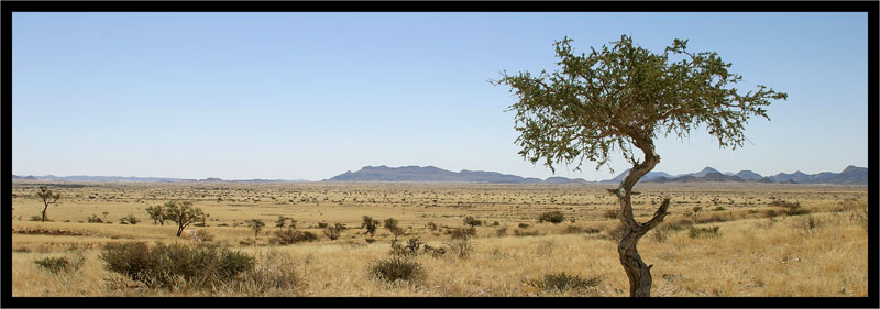 Harnas Wildlife Farm