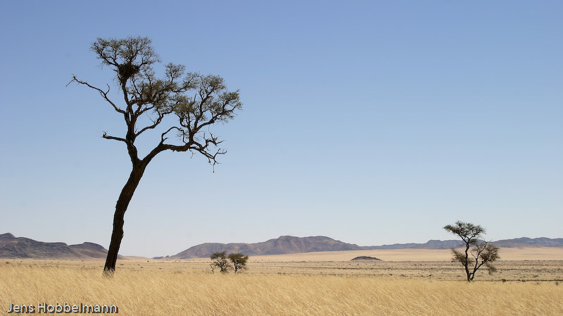 Namib Rand (Camp Gecko)